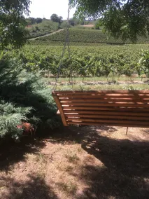 Panoramic villa with pool on our vineyard - Image 5