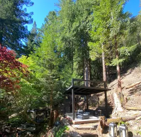 Immersive Stylish Cabin with Sauna - Image 4