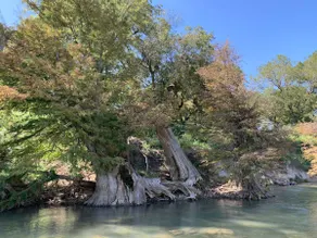 Guadalupe River Retreat - Image 2