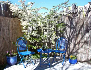 Casita Wolf • Adobe Hideaway • Walk to Plaza - Image 2