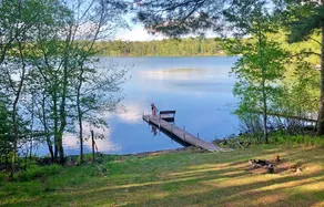 Large beautiful Lake Home - great views & wildlife - Image 2