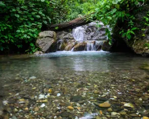 Sadhana Forest Villa (nestled in the hills) - Image 5