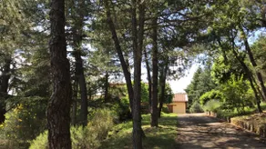 Villa Cerreto - Image 5