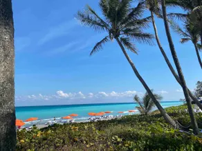 Jupiter Beach! The Oasis Suite! - Image 4