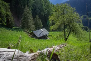 Cabin at the edge of the forest in a hiking area - Image 3