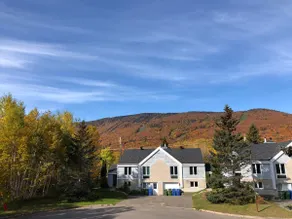 [V22] Villa Mont-Sainte-Anne | Pool - Image 2