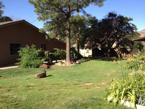 The Canyon Belle - Image 5