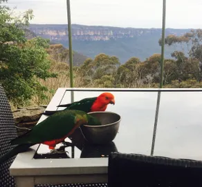 Sterling Manor Katoomba - Image 5