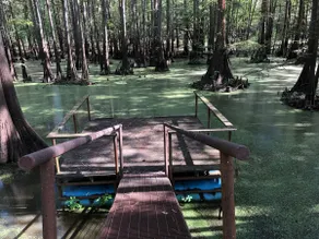 Caddo Lake Kayak Cabin - Image 3