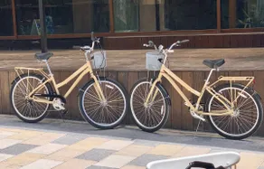 Inspired Design, Ocean Views and Bikes! - Image 4