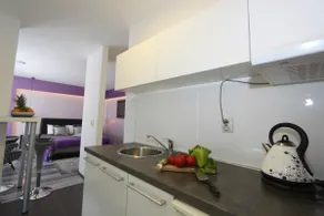 New Belgrade Apartment ARENA - Image 5