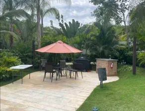 Paraiso de verano - Image 3