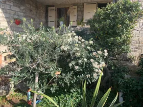 Charming accommodation in a village house - Image 3