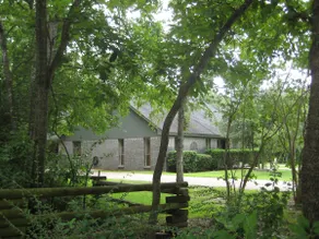 Large wooded yard near Texas A&M - Image 3