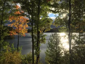 UpNorthGetaway~HotTub*Pool*Trails*Lakes*Nature! - Image 3
