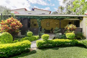 My Aunt Kiki's Garden - Image 4