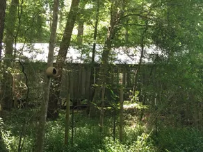 Artist Cabin in Woods - Image 3