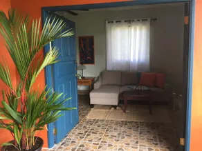 Hacienda Belina - private coffee farm experience - Image 5