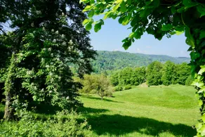 Charming 17th century residence, Calm, Livradois Forez Natural Park, Olliergues - Image 3
