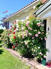 Detached house with garden, sunny patios and lake view - Image 4