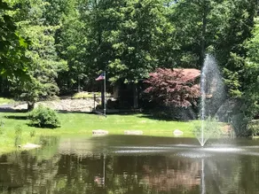 The House By The Pond - Image 3