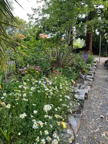Tranquil garden cottage, next to Stanford, FB - Image 3