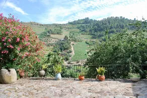 Casa de Mendiz - Image 5