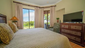 Bougainvillea 8207 - Image 5