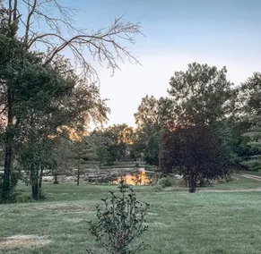LAKEHOUSE/HOT TUB/8 MILES TO DOWNTOWN/ON 60 ACRES - Image 5