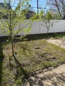 3 Bedroom House for Rent - Image 5