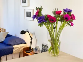 Bright Studio-House, City-centre with Parking - Image 5