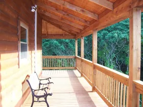 1300 sq ft cabin, hot tub, disc golf course - Image 4