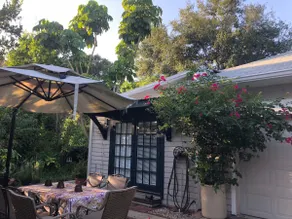 Cute Cottage in Clearwater - Image 2