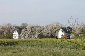 House in Biała - Mak - Image 3