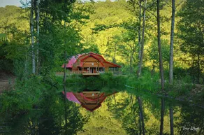 THE LUXURY CABIN IN THE WOODS - Image 2