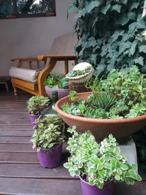 Casa Bendita Pacha - Image 2