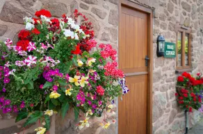 The Dinney B&B - Image 2