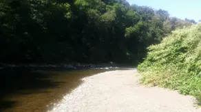 ❤️Very Nice Chalet in Paradise, River/Classified Site - Image 3