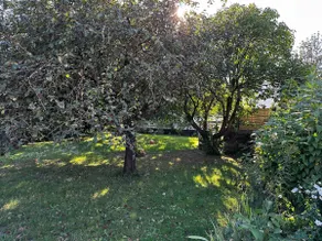 Villa ”Au Jardin de Mamie” - Image 3