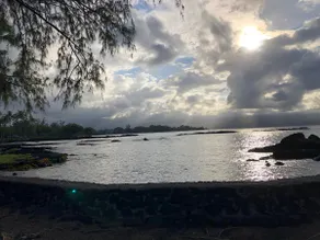 Wai 'Olena - ”Healing Ponds” - Image 4
