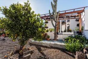 Bungalow Los Laureles - Image 4