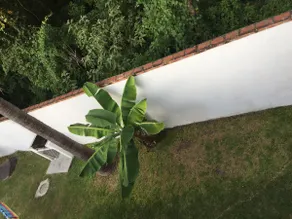 Newly remodeled pool and 100% private garden - Image 5