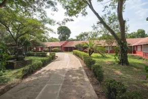 Complete estate in Nilo with large house - Image 2