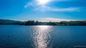Call of the Loon - Water Edge Lake House - Image 3