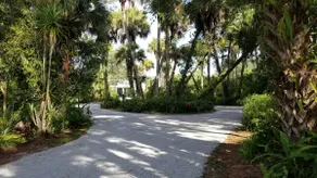 Mid-Century Tropical Oasis with Private Patio - Image 2