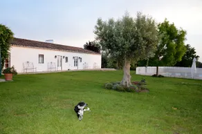 Monte da Boavista - Country family house - Image 3
