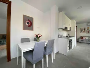 3# Fabulous Penthouse with Terrace in the Center of Granada - Image 5