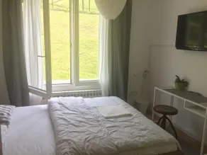 Srčeko - Entire place - Image 4