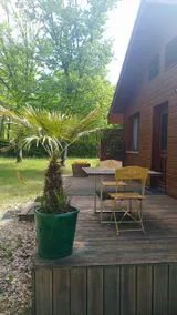 Cottage in the forest, deer call - Image 5