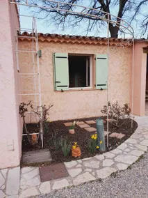 The Ribias Olive Grove - Image 3